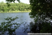 Cranberry Lake Preserve - White Plains, NY - Juin 2013 | Mon chat m'a ramené un chipmunks !