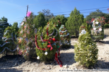Austin's Loop 360 Christmas Trees | Books, Cupcakes, and Cats Chasing Chipmunks