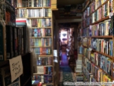 Hole in the Wall Books - Falls Church, VA | Books, Cupcakes, and Cats Chasing Chipmunks