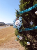 2017 Christmas Trees on Loop 360 - Austin, TX | Books, Cupcakes, and Cats Chasing Chipmunks